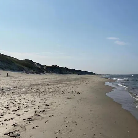 In Near Sea, Cleaning Included