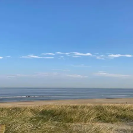 In Near Sea, Cleaning Included