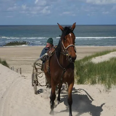 In Near Sea, Cleaning Included Casa vacanze Callantsoog